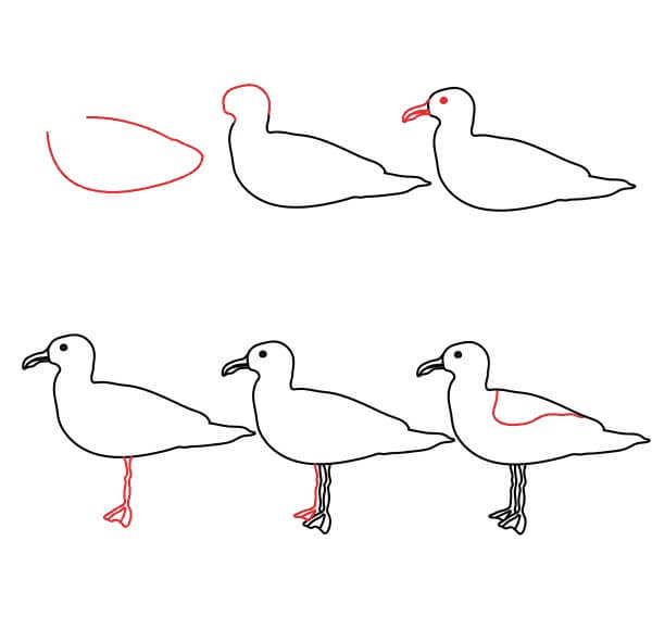 Seagull idea (11) Drawing Ideas