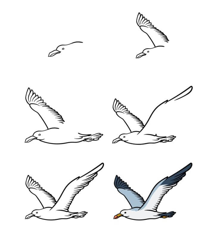 Seagull idea (2) Drawing Ideas