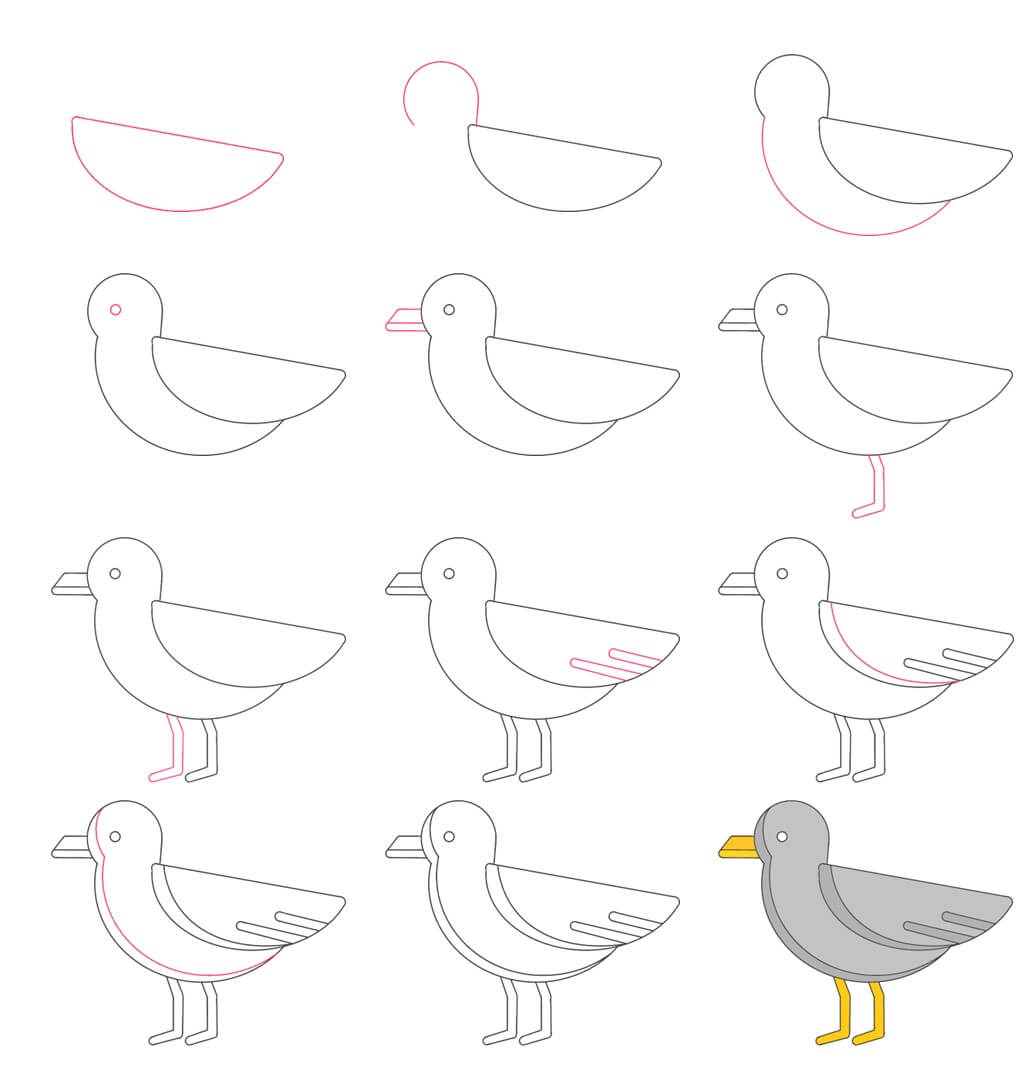 Seagull idea (3) Drawing Ideas