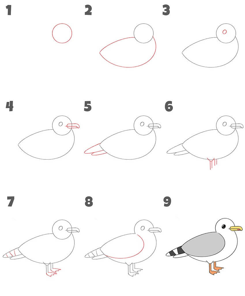 Seagull idea (4) Drawing Ideas