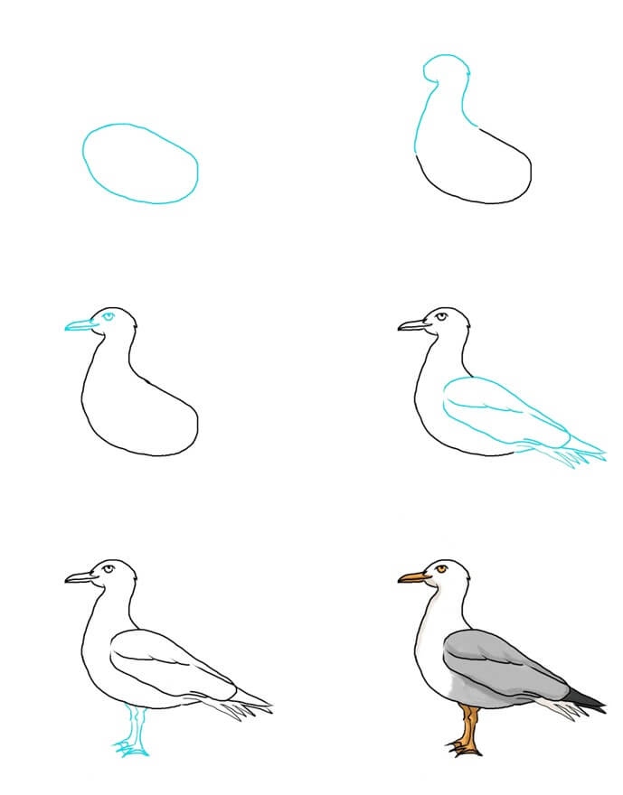 Seagull idea (5) Drawing Ideas