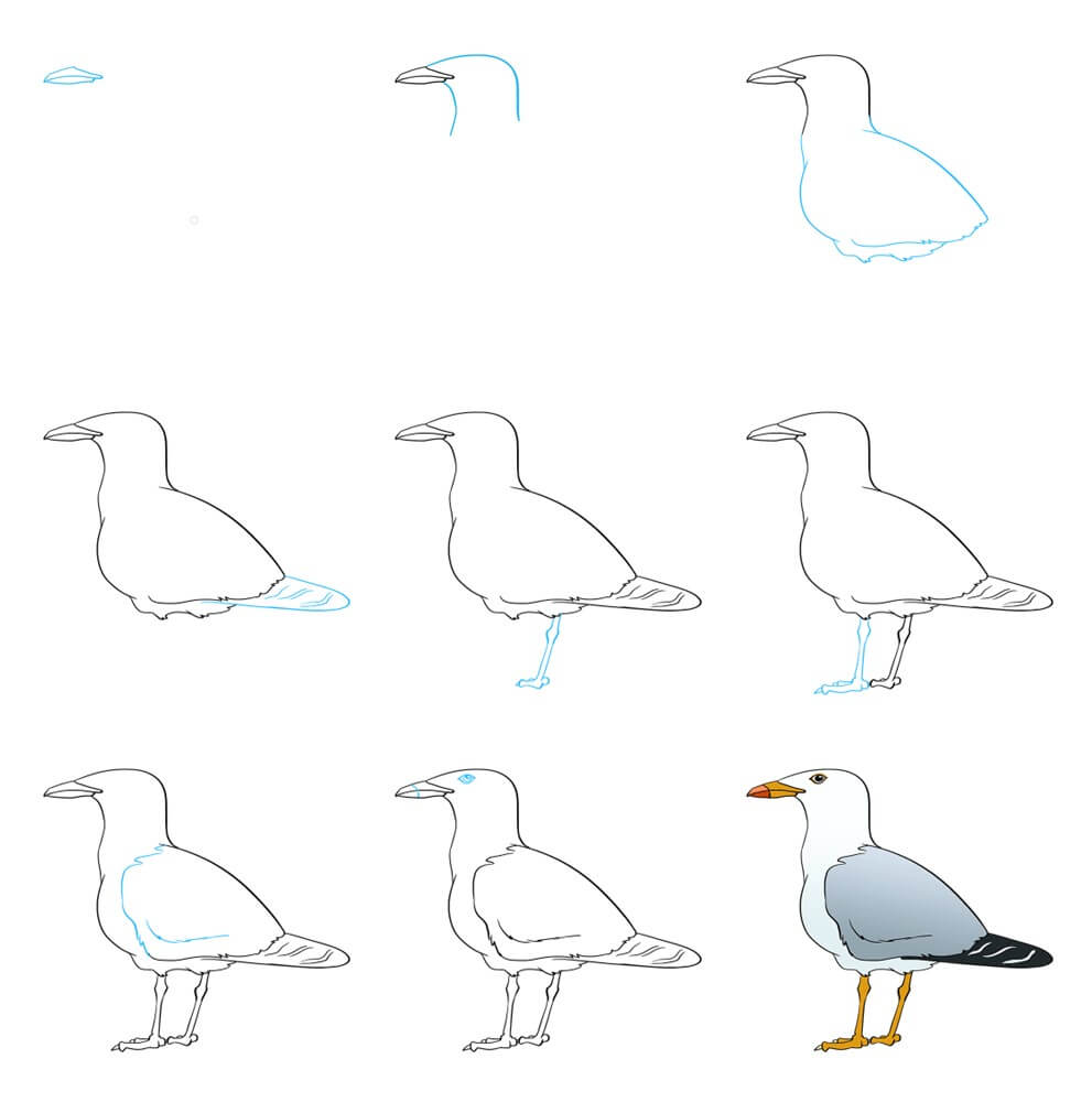 Seagull Drawing Ideas