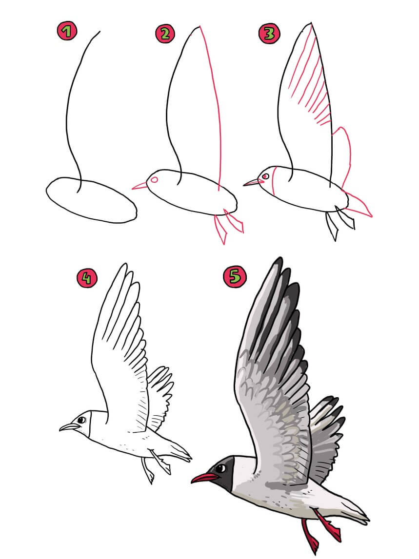 Seagull idea (9) Drawing Ideas