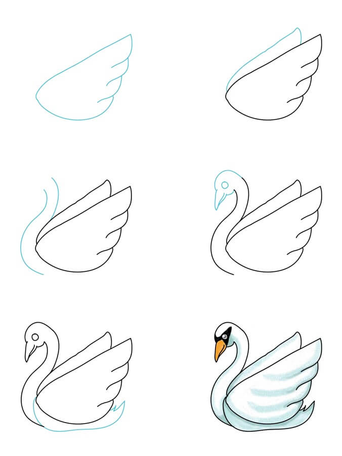 Swan idea (12) Drawing Ideas