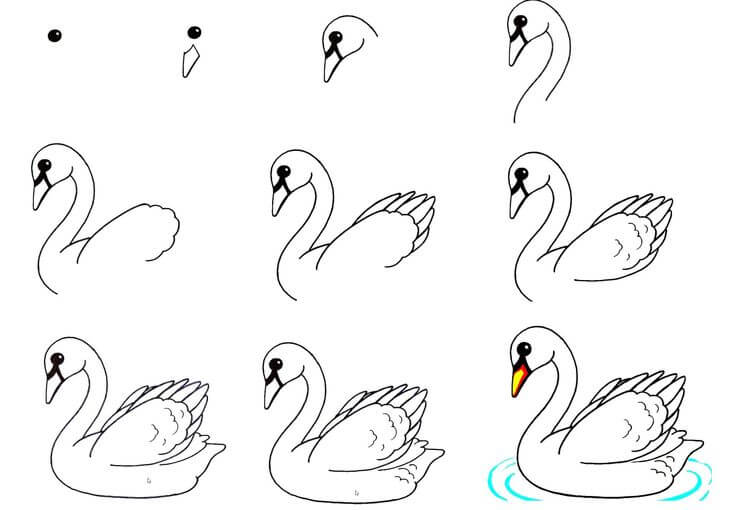 Swan idea (13) Drawing Ideas