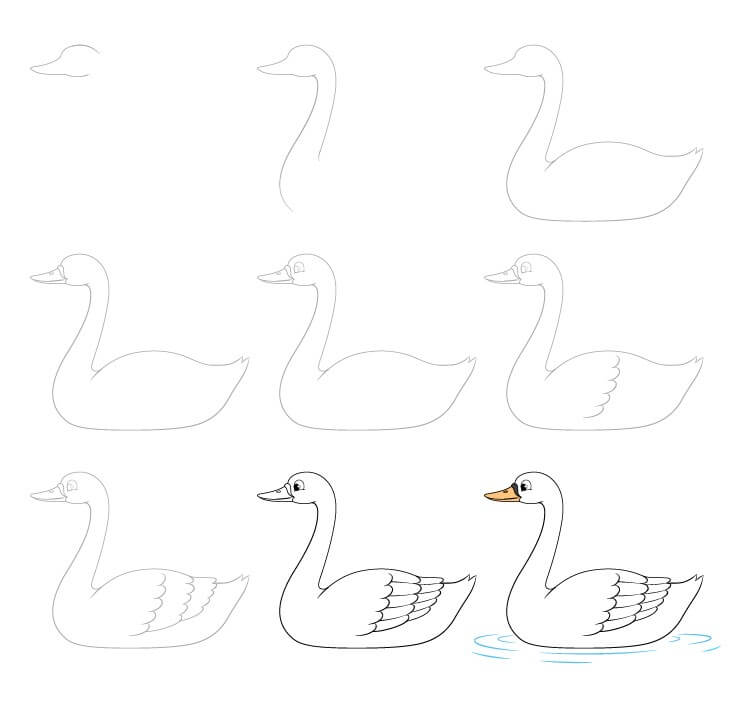 Swan idea (14) Drawing Ideas