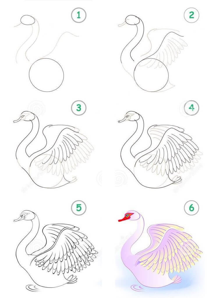 Swan idea (15) Drawing Ideas