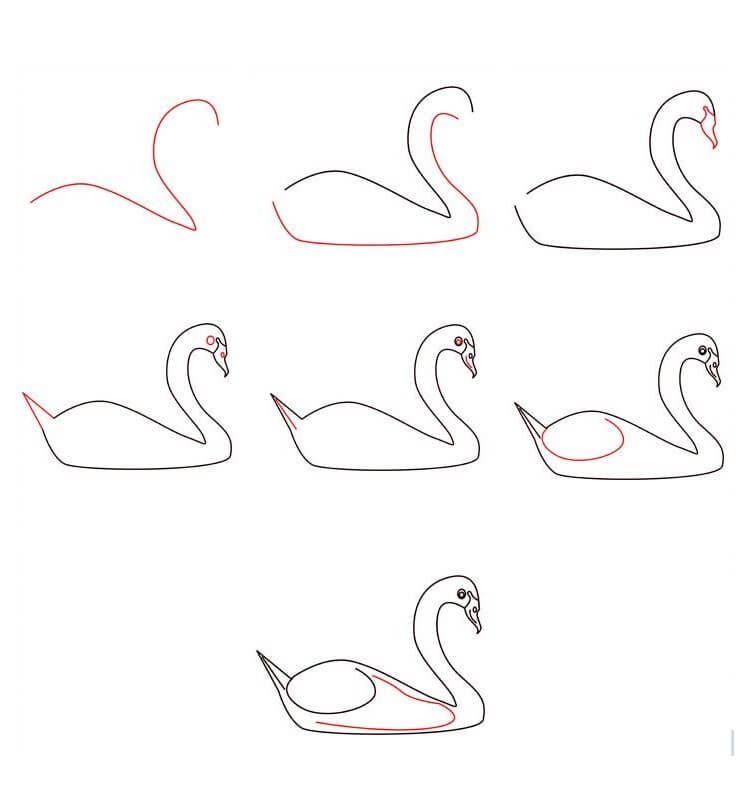 Swan idea (19) Drawing Ideas