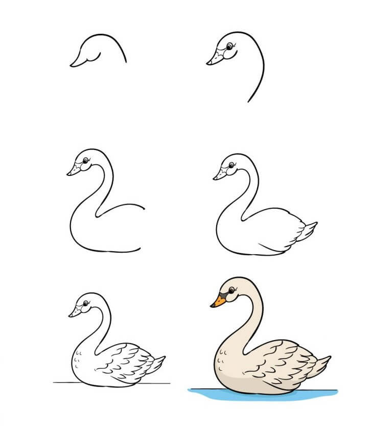 Swan Drawing Ideas