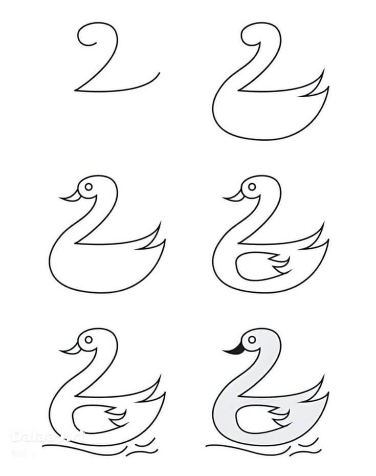 Swan idea (3) Drawing Ideas