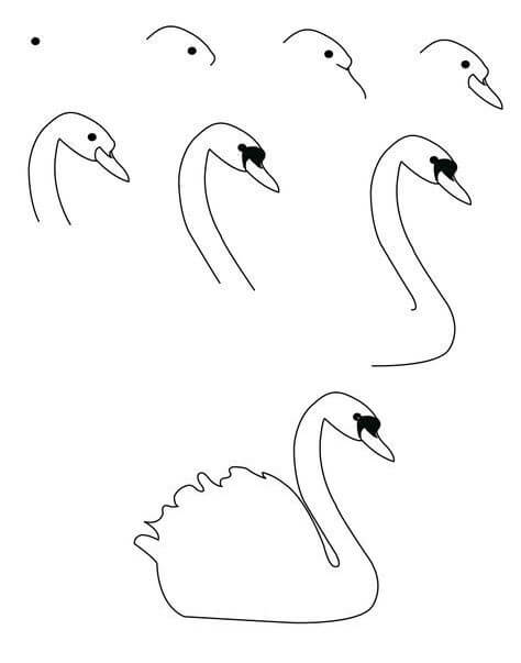 Swan idea (4) Drawing Ideas