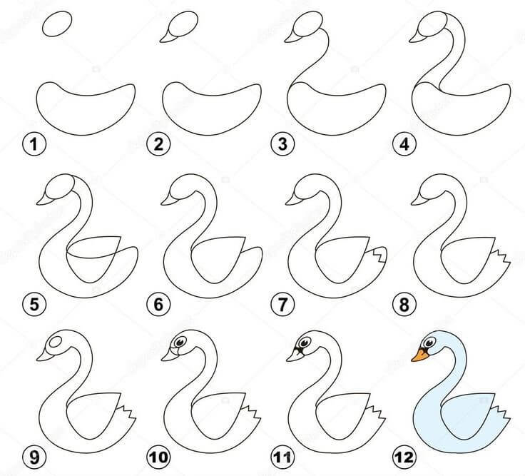 Swan idea (6) Drawing Ideas