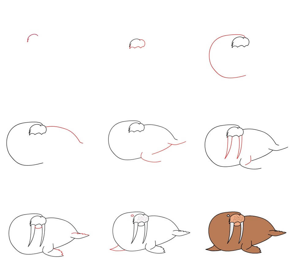 Walrus idea (2) Drawing Ideas