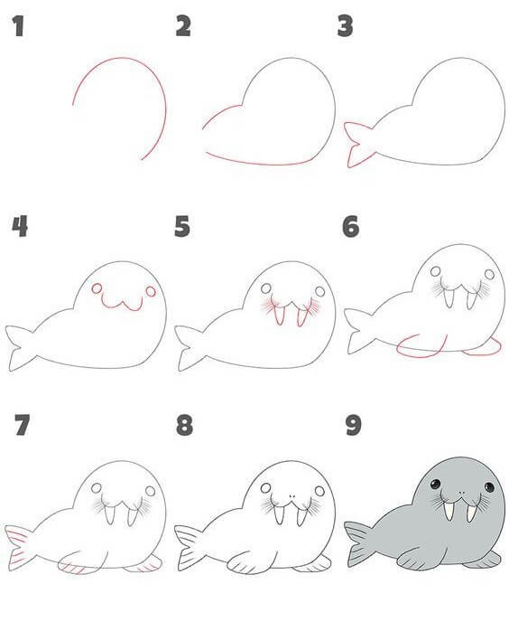 Walrus idea (5) Drawing Ideas