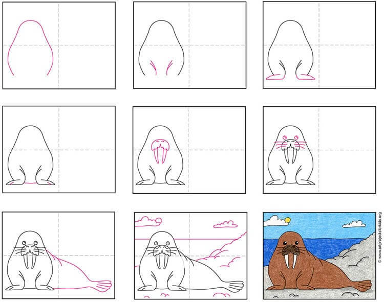 Walrus idea (9) Drawing Ideas