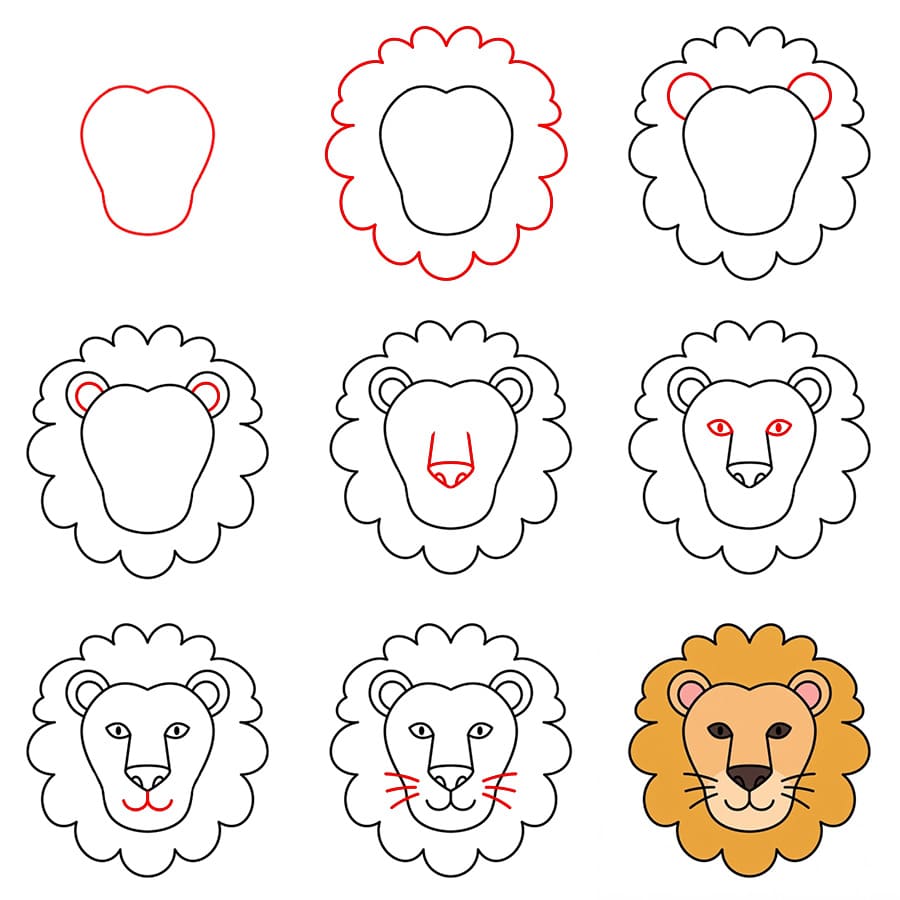 Basic Lion Face Drawing Ideas