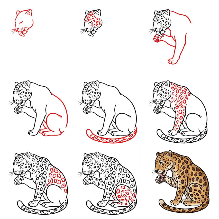 Leopard Licking Drawing Ideas
