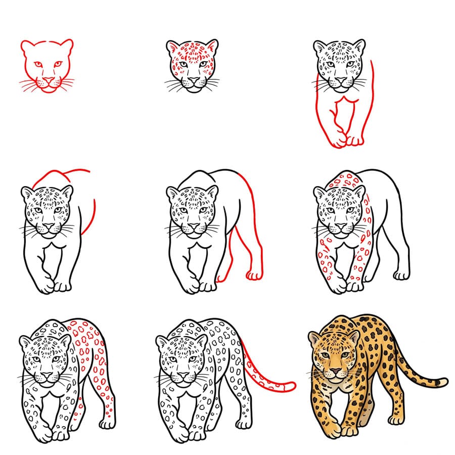 Leopard Stalking image Drawing Ideas
