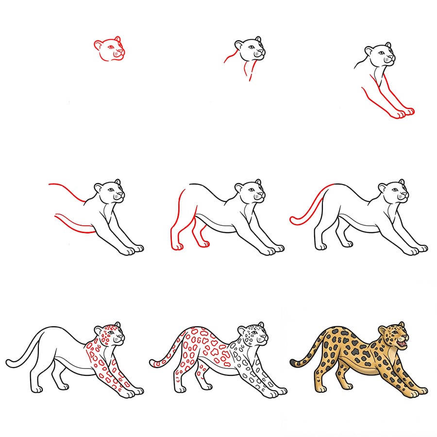 Leopard Stretching Drawing Ideas