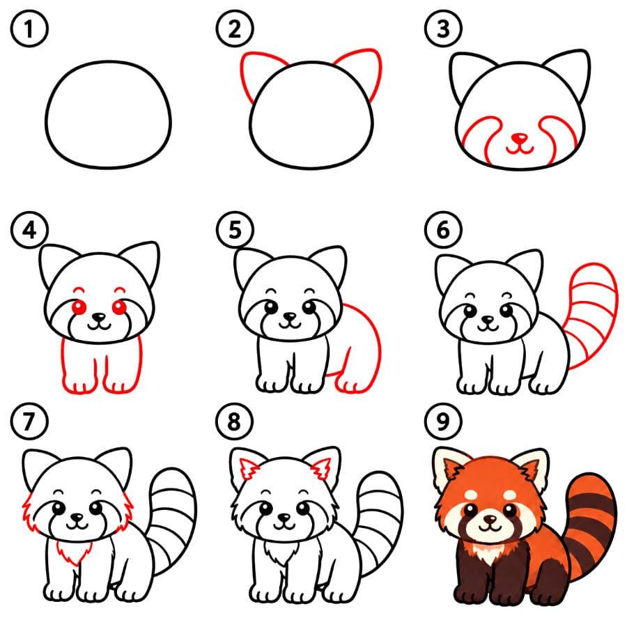 Nice Red Panda Drawing Ideas
