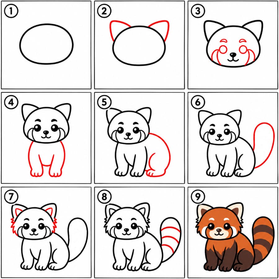 Red Panda image Drawing Ideas
