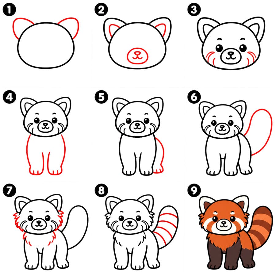 Simple Red Panda Drawing Ideas