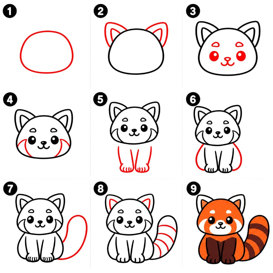 Sitting Red Panda Drawing Ideas
