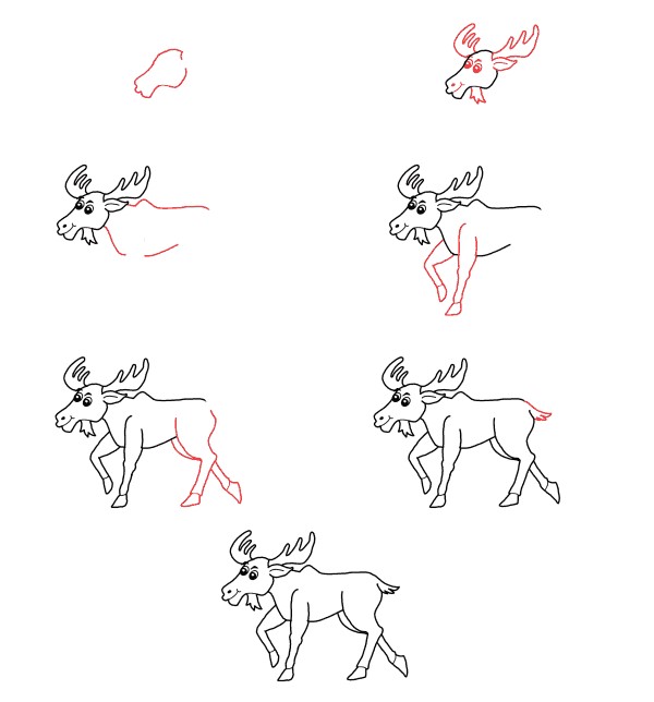 Cartoon Moose Drawing Ideas