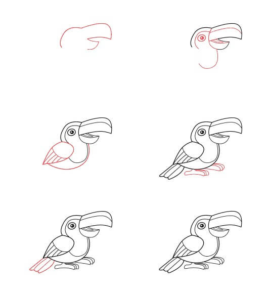 Cartoon Toucan Drawing Ideas