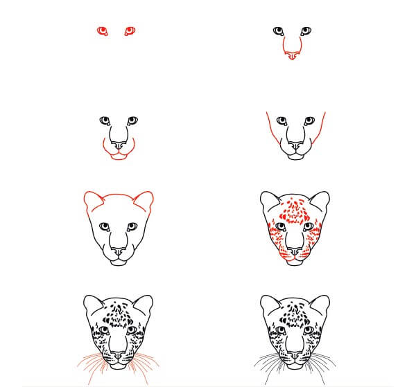 How to draw Leopard Face