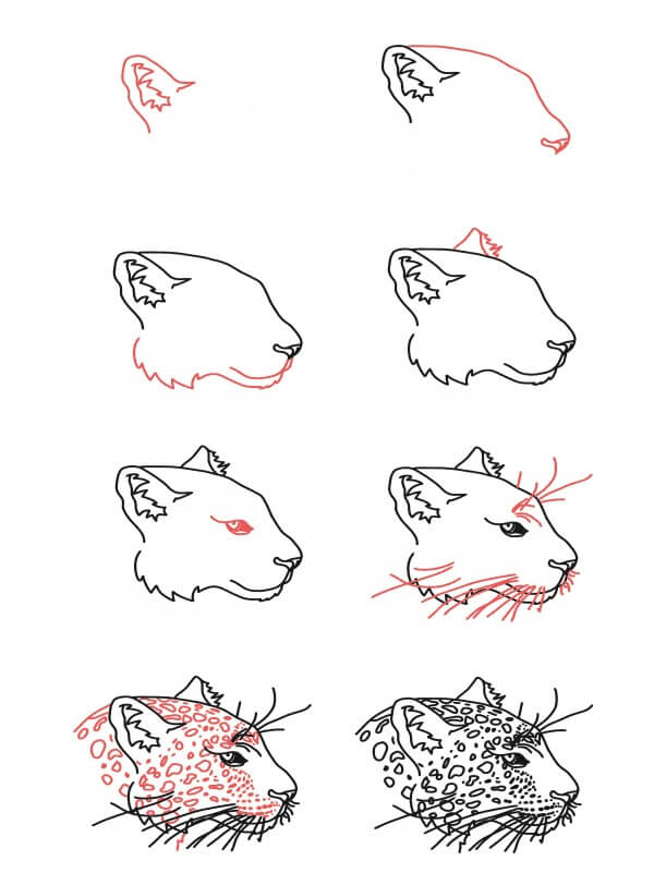 Leopard Head Drawing Ideas