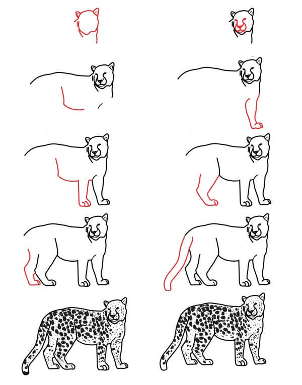 Leopard idea (11) Drawing Ideas