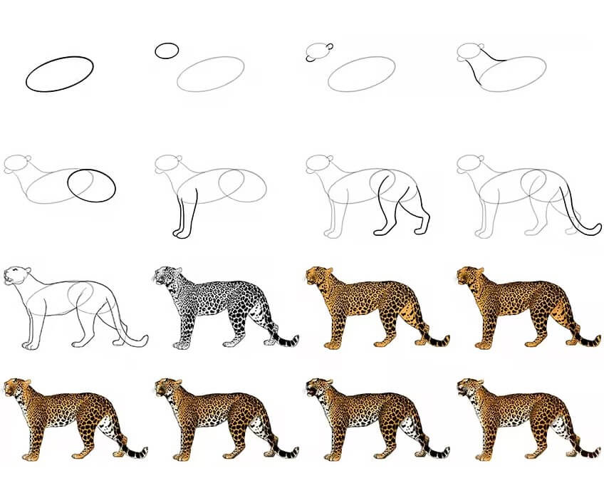 How to draw Leopard idea (5)