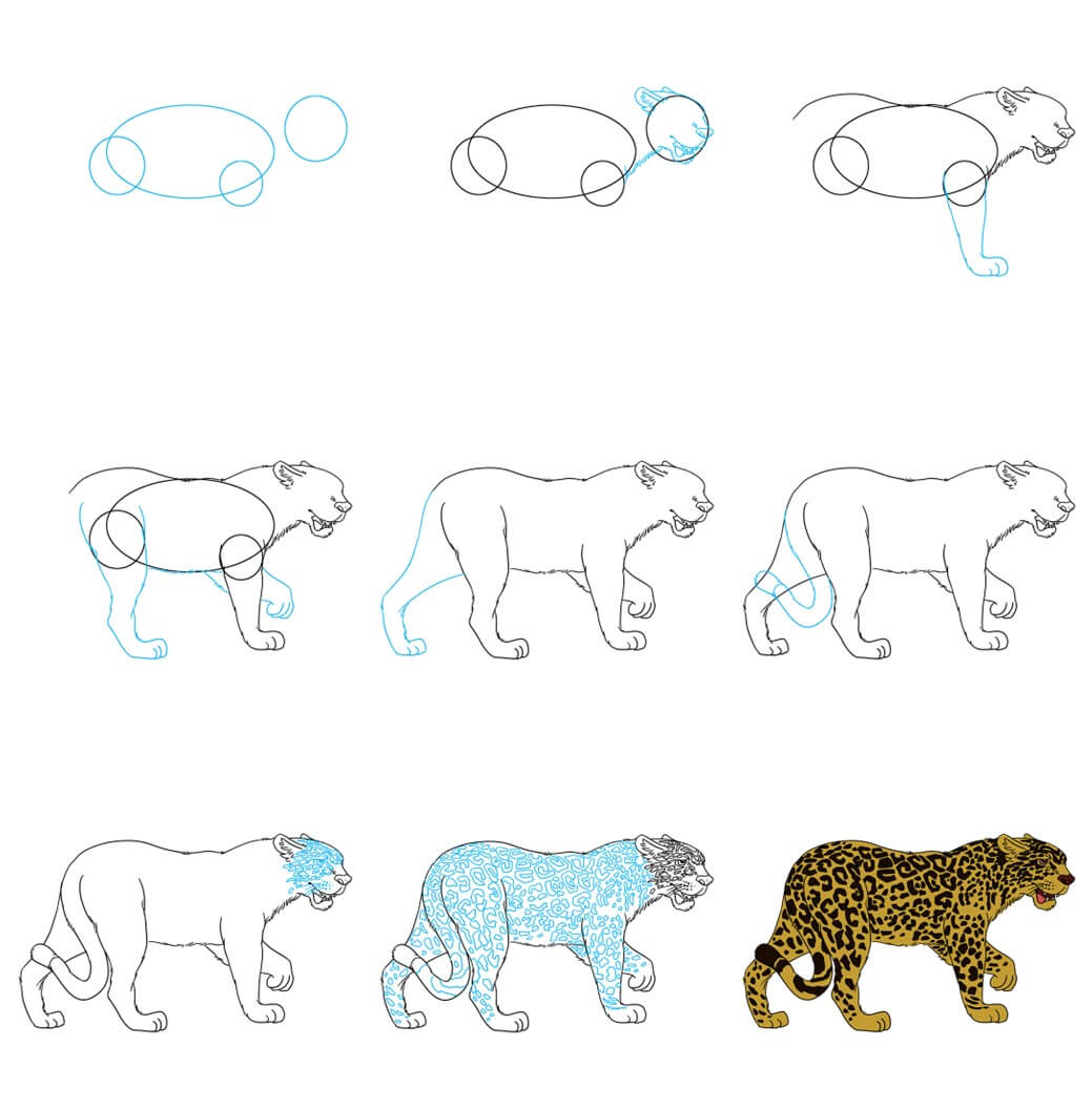 Leopard Drawing Ideas