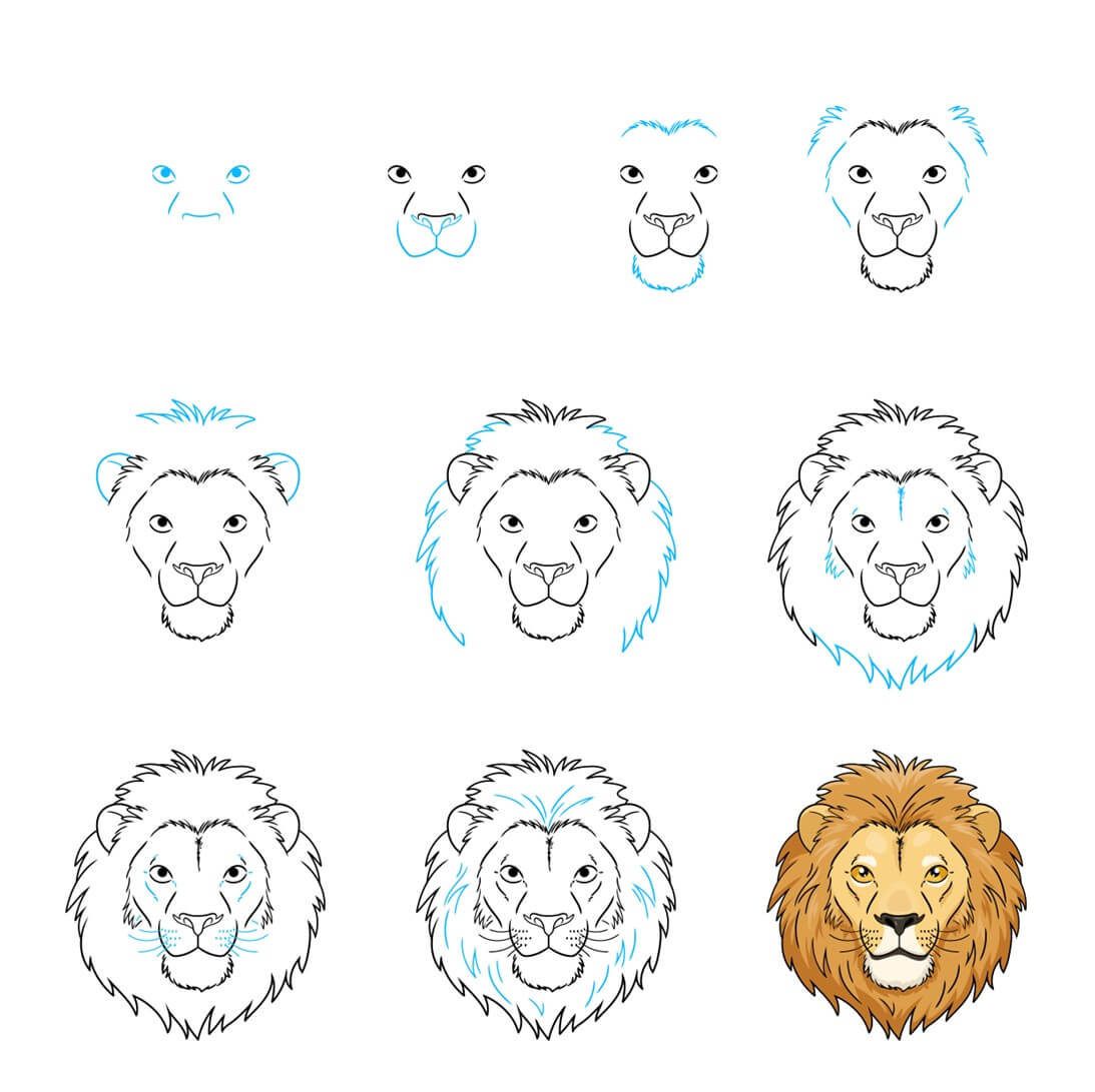 How to draw Lion Face idea (14)