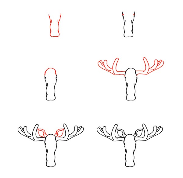 Moose Face Drawing Ideas