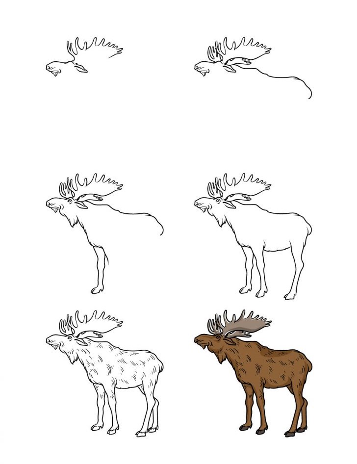 Moose idea (12) Drawing Ideas