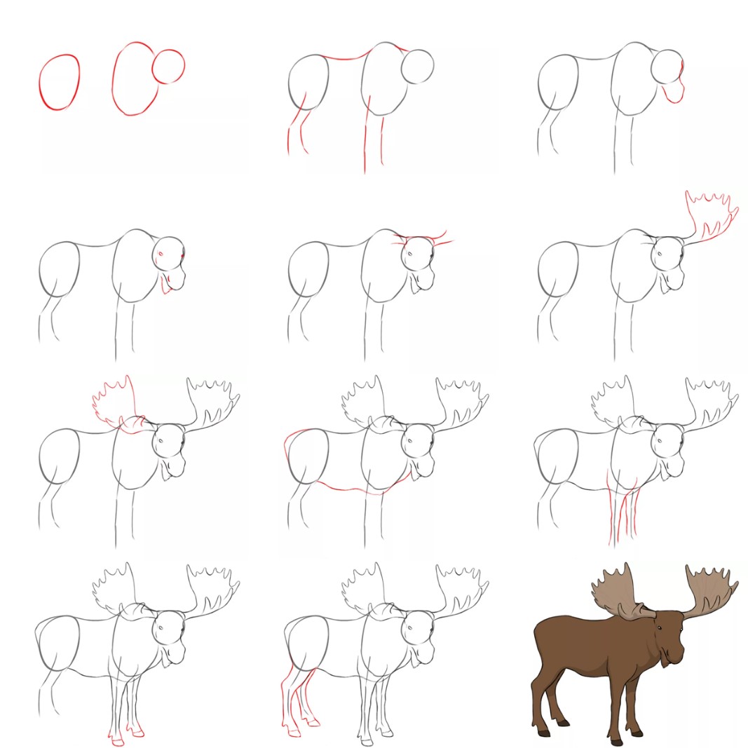 How to draw Moose idea (3)