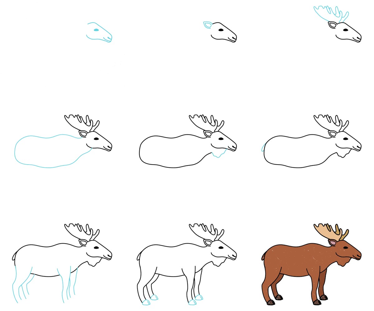 Moose idea (9) Drawing Ideas