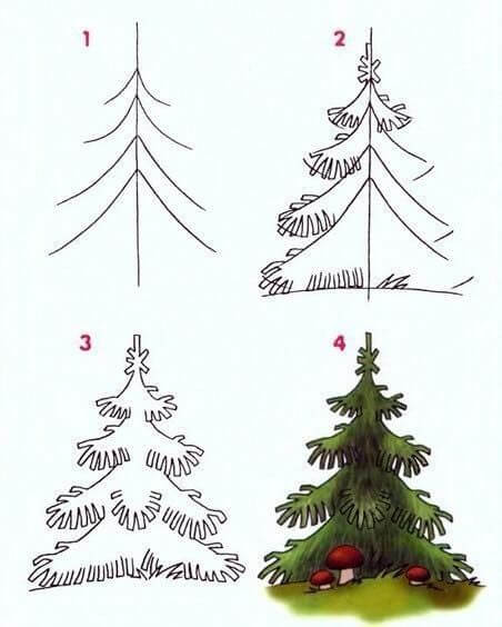 Pine Tree idea (1) Drawing Ideas