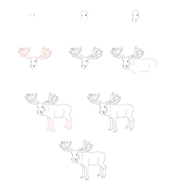 How to draw Realistic Moose