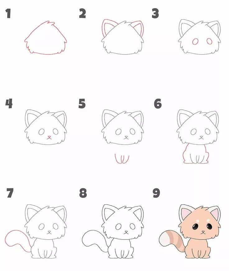 How to draw Red Panda idea (1)