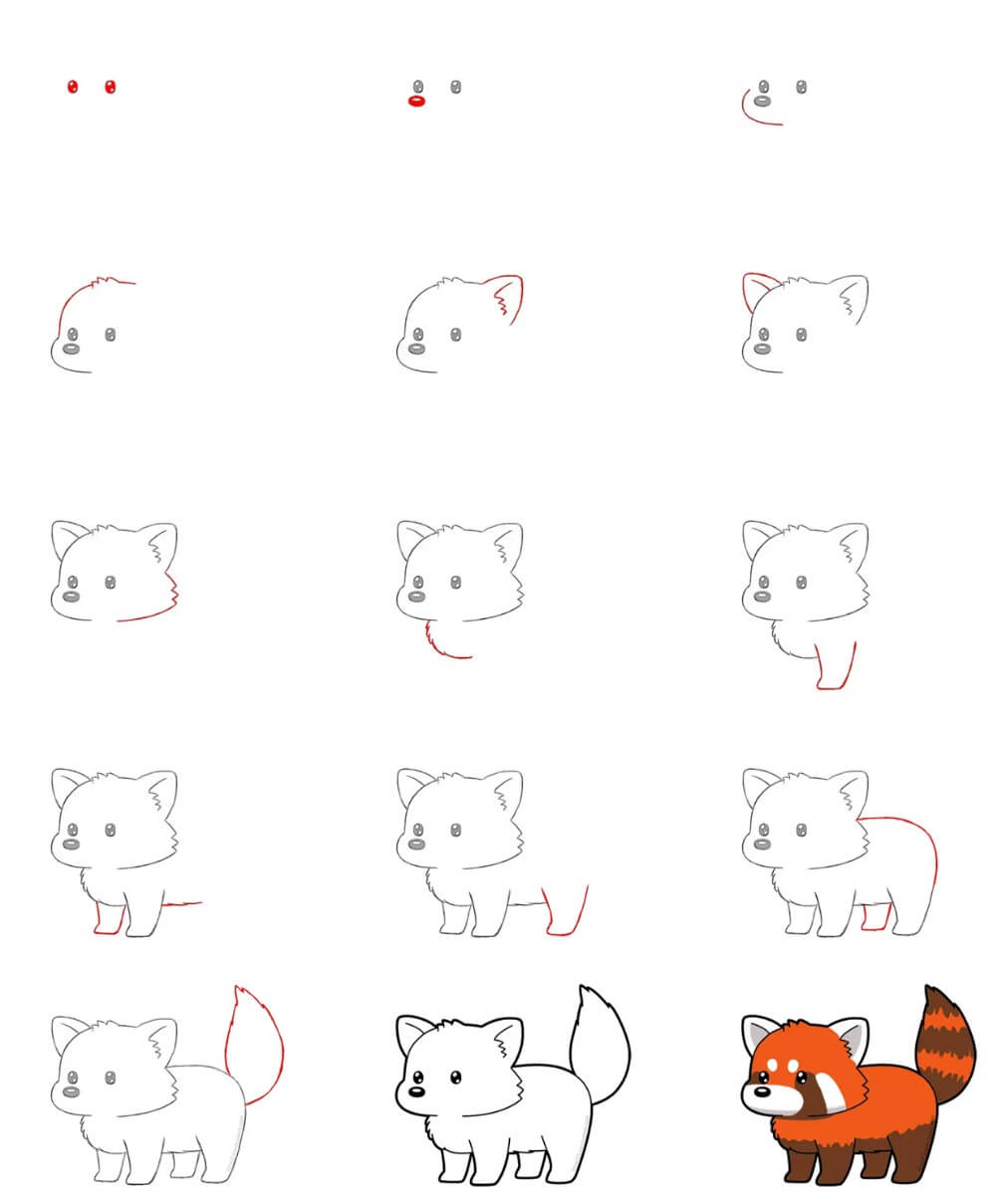 How to draw Red Panda idea (11)