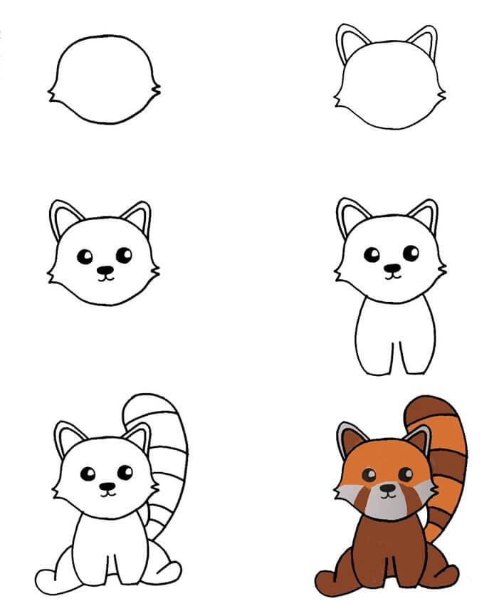 How to draw Red Panda idea (12)