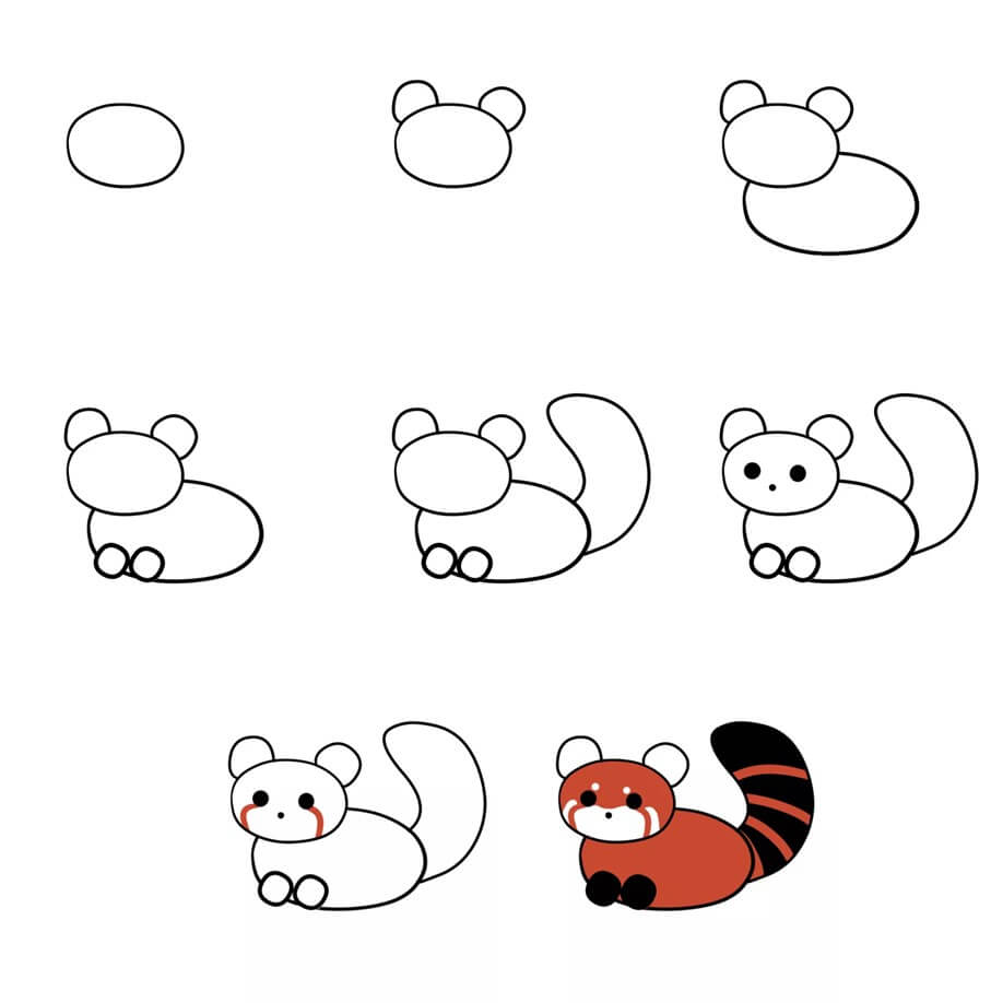 How to draw Red Panda idea (2)