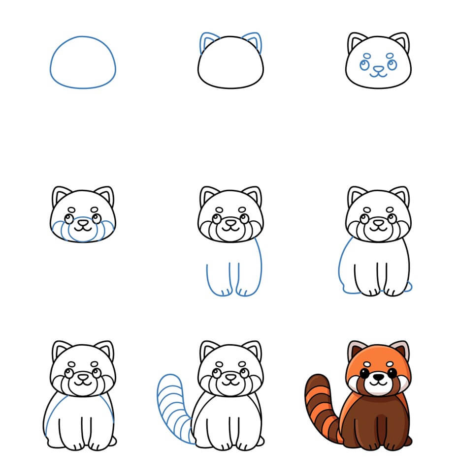 How to draw Red Panda idea (3)