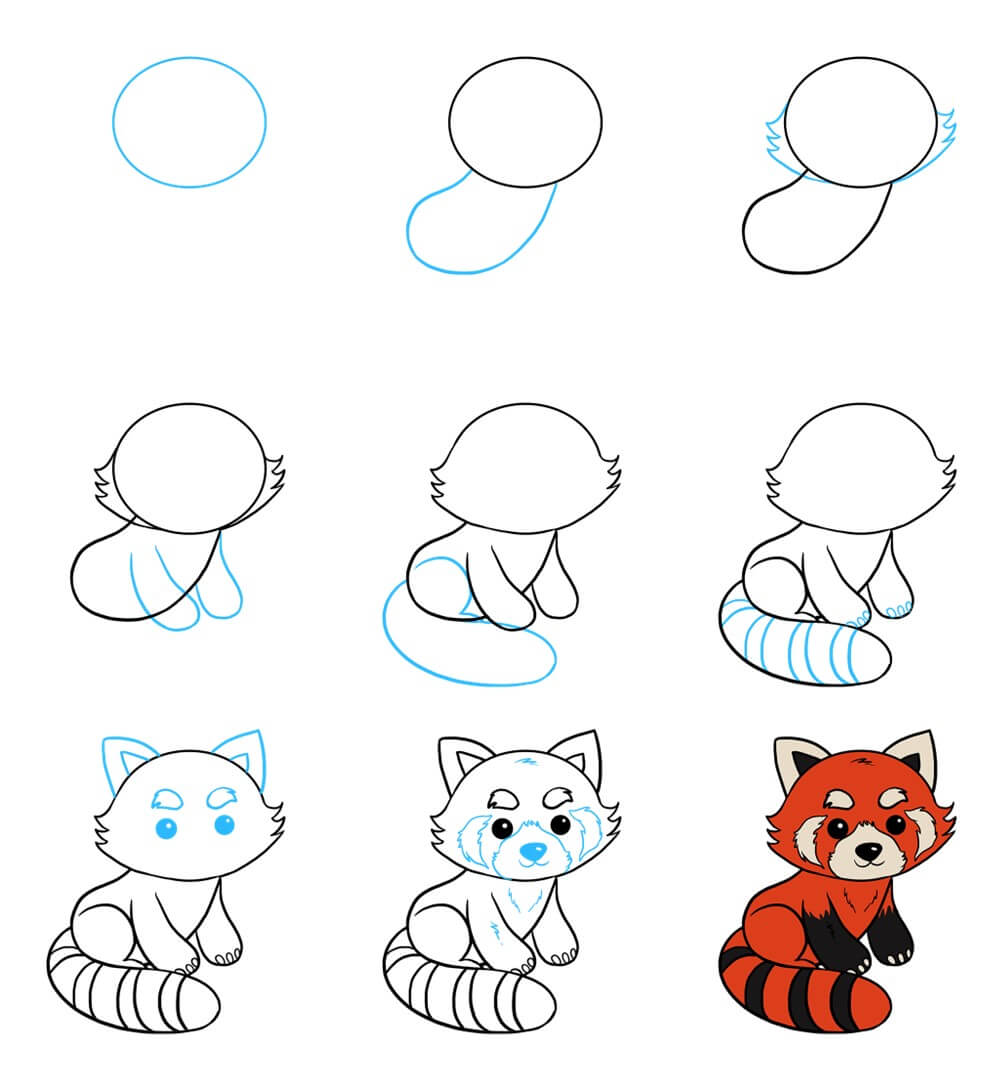 How to draw Red Panda idea (6)