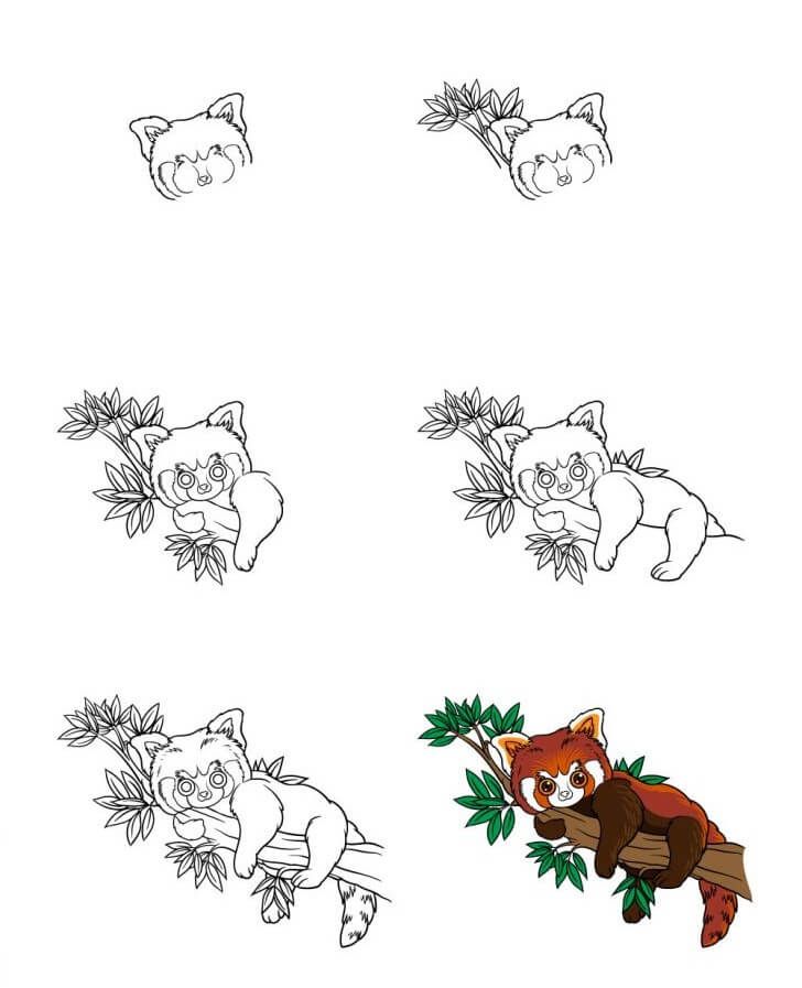 How to draw Red Panda relaxes