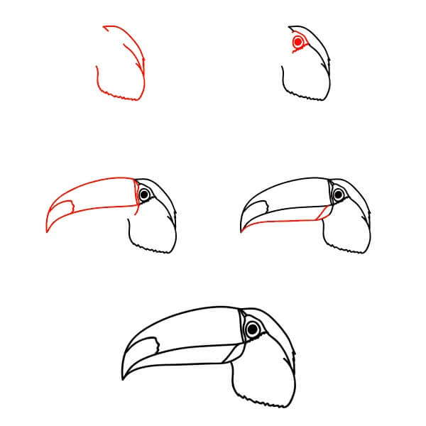 Toucan Face Drawing Ideas