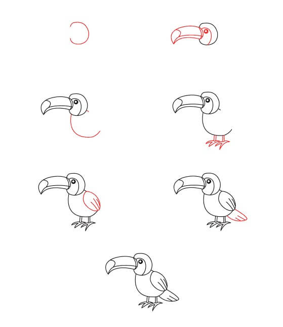 Toucan for Kids Drawing Ideas